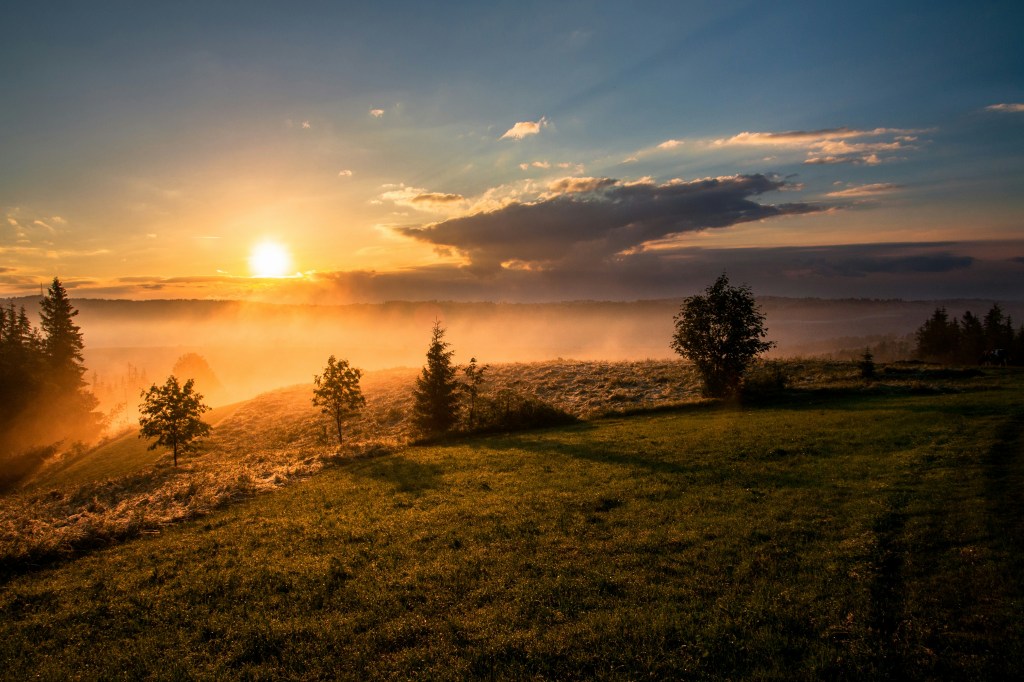 Sunrise over a misty hillside with glowing golden light, trees in silhouette, and soft clouds in the distance.